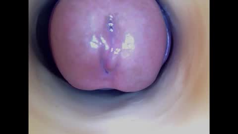 Paula 18 Aninhos online show from 01.31.25
