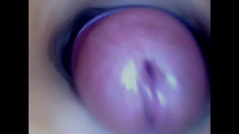 Paula 18 Aninhos online show from 02.01.25