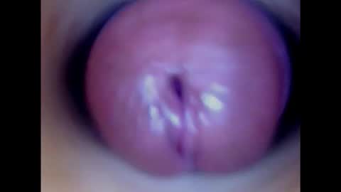 Paula 18 Aninhos online show from 02.02.25