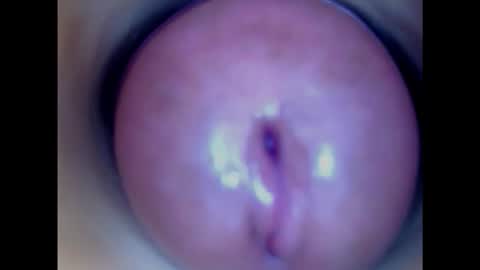 Paula 18 Aninhos online show from 02.04.25