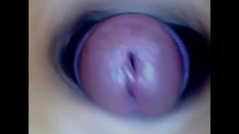 Paula 18 Aninhos online show from 02.05.25