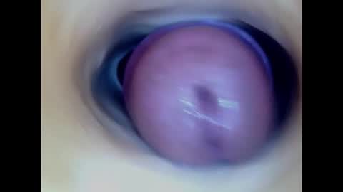 Paula 18 Aninhos online show from 02.06.25