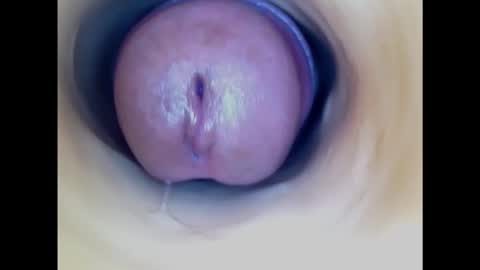 Paula 18 Aninhos online show from 02.19.25