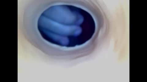 Paula 18 Aninhos online show from 11.02.25