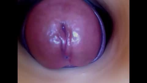 Paula 18 Aninhos online show from 11.20.25