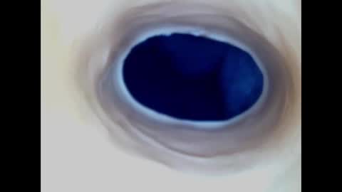 Paula 18 Aninhos online show from 12.23.25