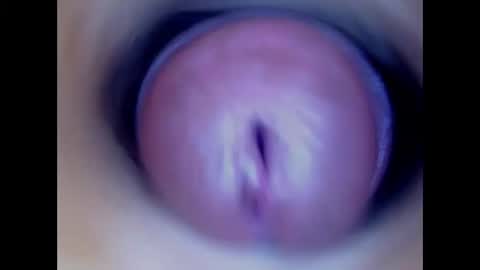 Paula 18 Aninhos online show from 01.12.26