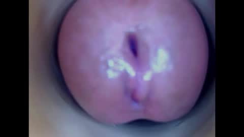 Paula 18 Aninhos online show from 01.15.26