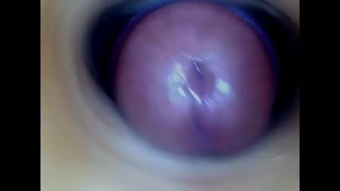 Paula 18 Aninhos online show from 03.01.26