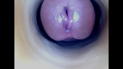 Paula 18 Aninhos online show from 03.18.26