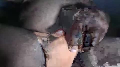 paulcockring online show from 11.23.25