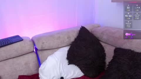 Paula online show from 02.20.25