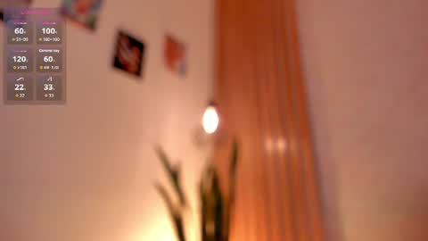 Dani online show from 07.06.26
