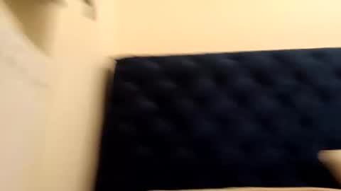 Paw online show from 12.21.24