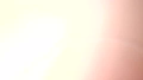 Paw online show from 02.12.25