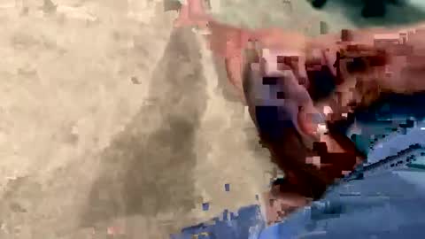 peakingondaddy online show from 10.15.25