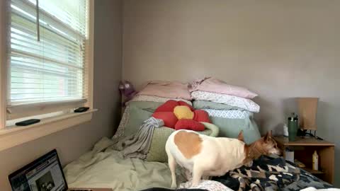 pegggggysue69 online show from 03.20.26