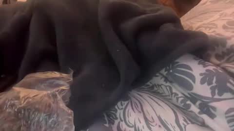 penutbutter691 online show from 02.23.26