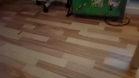 Snapshot of pepe_hard chatting on 03.02.26 pepe_hard online show from 03.02.26