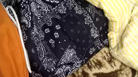 Snapshot of perdido4_20 chatting on 01.05.25 perdido4_20 online show from 01.05.25