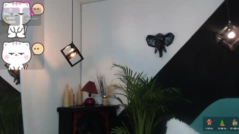   online show from 12.20.24