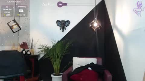   online show from 01.31.25
