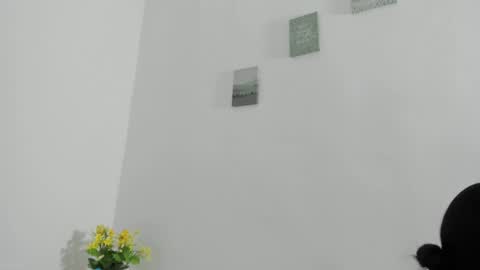 Perla mistc online show from 04.10.26