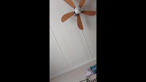 peter online show from 02.15.26