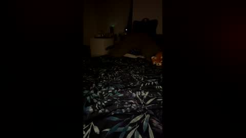 Snapshot of petitecurves279659 chatting on 02.12.26 PetiteCurves online show from 02.12.26