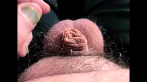 petrol63102 online show from 03.07.26