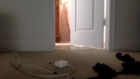 Its always better when its forbidden online show from 04.01.26