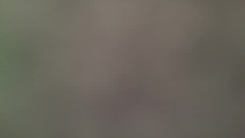 Its always better when its forbidden online show from 04.27.26