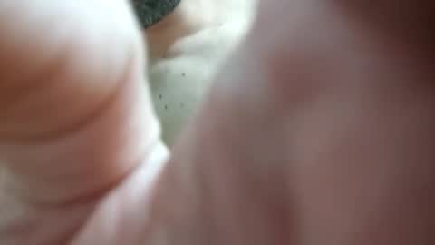 piacere39 online show from 12.09.24