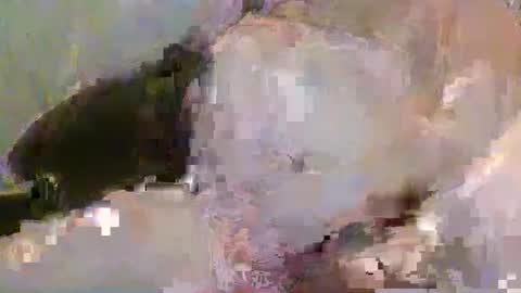 Pickup844 online show from 01.04.25