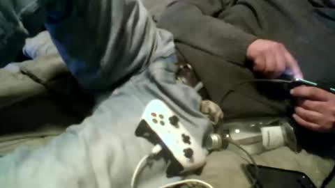 Pierke online show from 01.09.26