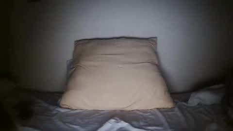 Snapshot of pieslatinos chatting on 01.31.25 pieslatinos online show from 01.31.25