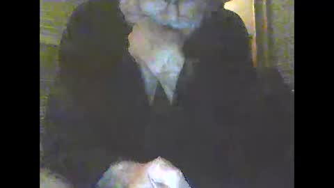 Snapshot of pigbear4trans chatting on 12.31.24 pigbear4trans online show from 12.31.24