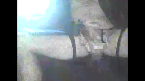 Snapshot of pigbear4trans chatting on 01.03.25 pigbear4trans online show from 01.03.25