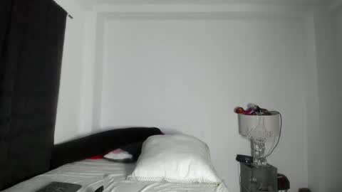 Snapshot of pikoro_gomez chatting on 04.29.26 pikoro_gomez online show from 04.29.26