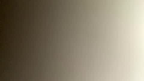 Bee online show from 12.03.24