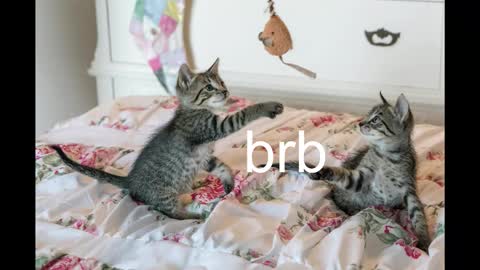 Snapshot of pink_girl0n chatting on 10.19.25 Kitty online show from 10.19.25