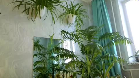 Tatyana online show from 02.11.26