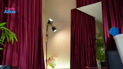 Snapshot of pinkheart_ chatting on 12.13.24 Alice online show from 12.13.24