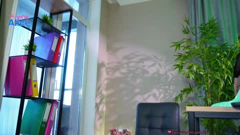 Snapshot of pinkheart_ chatting on 12.20.24 Alice online show from 12.20.24