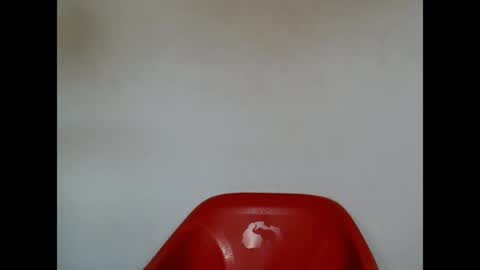 pinkxsugar online show from 04.21.26