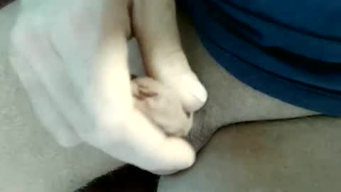 Snapshot of pippo2704 chatting on 05.31.26 pippo online show from 05.31.26