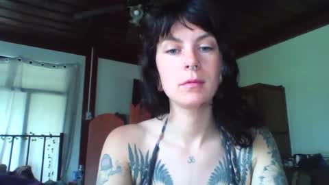 pixiecatfairy online show from 11.23.25