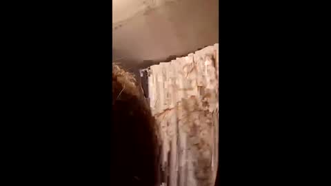 pizzedwife online show from 02.04.26