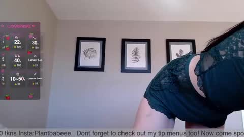 Snapshot of plantbabeee chatting on 12.02.24 Plantbabeee online show from 12.02.24