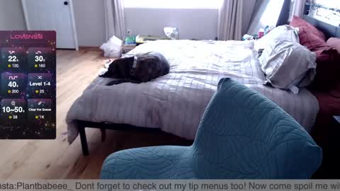 Snapshot of plantbabeee chatting on 02.26.25 Plantbabeee online show from 02.26.25